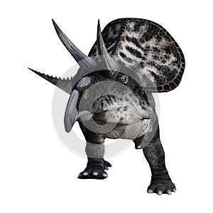 3D Rendering Dinosaur Zuniceratops on White