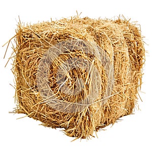 3D Rendering of a Dry Hale Bale on Transparent Background - Ai Generated