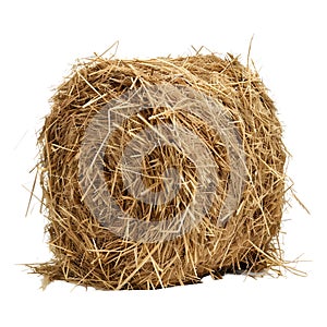 3D Rendering of a Dry Hale Bale on Transparent Background - Ai Generated