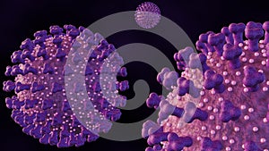 3d rendering of Echovirus or enteric cytopathic human orphan virus photo
