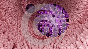 3d rendering of Echovirus or enteric cytopathic human orphan virus photo