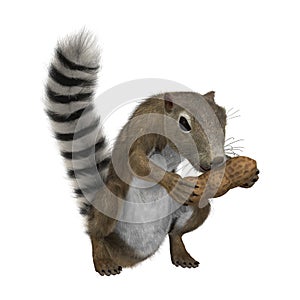 3D Rendering Gambian Sun Squirrel on White
