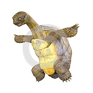 3D rendering of a giant tortoise