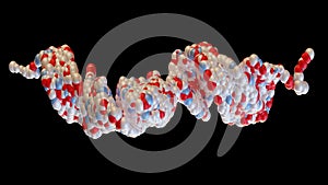 3D rendering of Glucagon-like peptide 1 (GLP1, 7-36) molecule, a potent antihyperglycemic hormone. photo