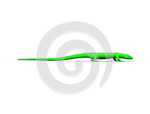 3d rendering of a green lizard isolated in white studio background