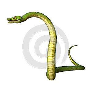 3D Rendering Green Tree Python on White