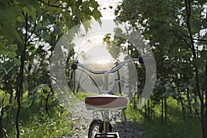 3d rendering of handlebar of bicycle in front of forest path