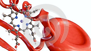 Heme molecule, protein structure and red blood cells.