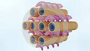 3d rendering of hexagonal phase consists of DNA arranged on a hexagonal lattice photo