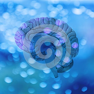 3D rendering. Illustration, graphic brighty brain with light elements
