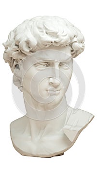 3D rendering illustration of Head of Michelangelo`s David