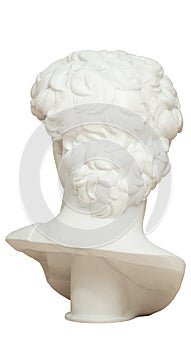 3D rendering illustration of Head of Michelangelo`s David