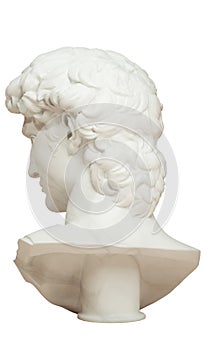 3D rendering illustration of Head of Michelangelo`s David