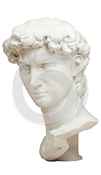 3D rendering illustration of Head of Michelangelo`s David