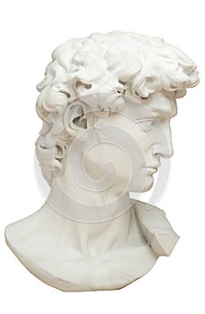 3D rendering illustration of Head of Michelangelo`s David