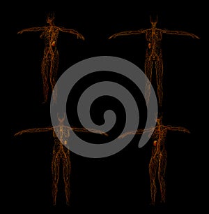 3D rendering illustration of the lymphatic