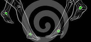 3d rendering illustration of the malleolus