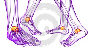 3d rendering illustration of the malleolus