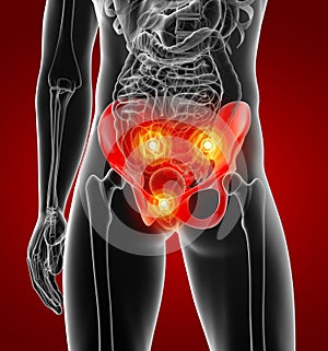3D rendering illustration of pelvis