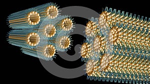 3d rendering of inverse hexagonal phase. photo