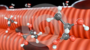 3d rendering of lactic acid molecules and skeletal muscle. photo