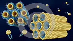 A 3D rendering of a lamellar phase and an inverse hexagonal phase photo