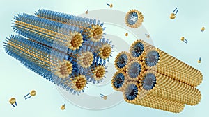 A 3D rendering of a lamellar phase and an inverse hexagonal phase photo