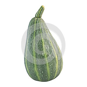 3D Rendering of a Loci Vegetable on Transparent Background - Ai Generated