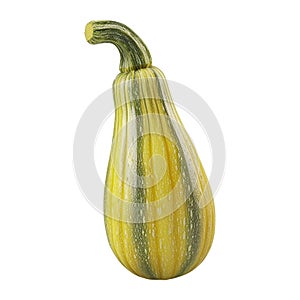 3D Rendering of a Loci Vegetable on Transparent Background - Ai Generated