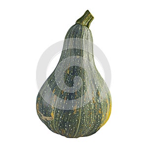 3D Rendering of a Loci Vegetable on Transparent Background - Ai Generated