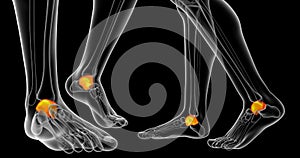 3d rendering of malleolus