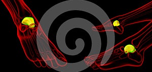 3d rendering of the malleolus bone