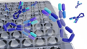 Study of IgE molecules using an ELISA or a similar microplate-based technique.