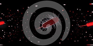 3d rendering Microscope virus- bacteria close up.  Equirectangular  360 VR image.  The medical panoramic background
