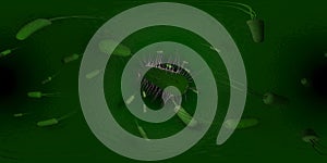 3d rendering Microscope virus- bacteria close up.  Equirectangular  360 VR image.  The medical panoramic background