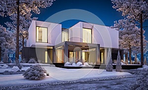 3d rendering of modern house with garden in winter night