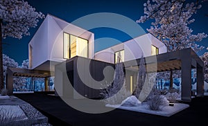 3d rendering of modern house with garden in winter night