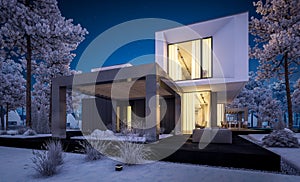 3d rendering of modern house with garden in winter night