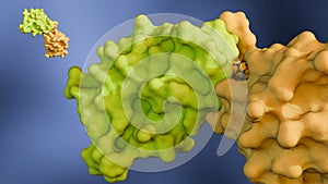 A 3d rendering of a molecular glue photo