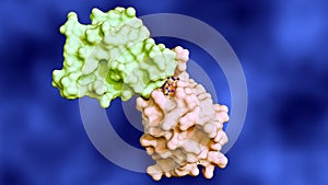 A 3d rendering of a molecular glue photo