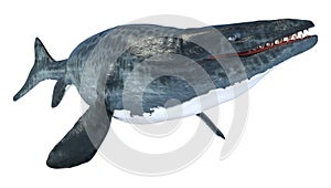 3D Rendering Mosasaur on White