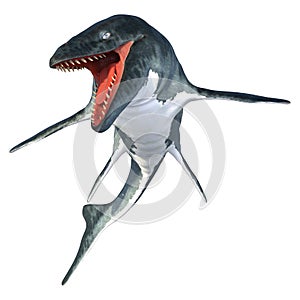 3D Rendering Mosasaur on White