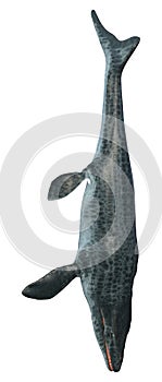 3D Rendering Mosasaur on White