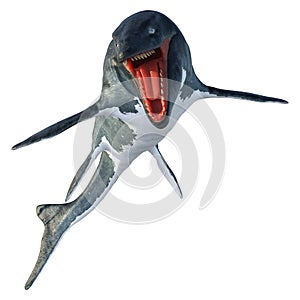 3D Rendering Mosasaur on White