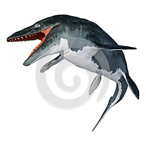 3D Rendering Mosasaur on White