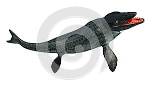 3D Rendering Mosasaur on White