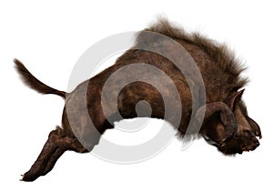 3D Rendering Varg on White