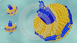 nanodisc consists of phospholipids and a stabilizing belt photo