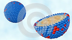 3d rendering of nanoemulsion molecules