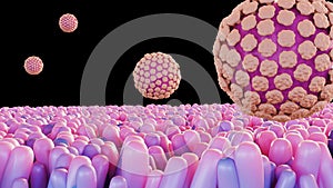 3d rendering of Norovirus causes stomach flu photo